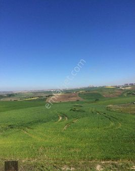 Hadımköy'de Yeni İmarı Açılan Bölgede Konut İmarlı Arsa