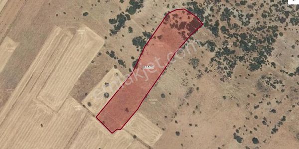 Ayşah Gayrimenkulden Tavas Garipköyde Uygun Fiyata Tarla