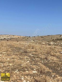 Antalya Korkuteli Büyük Köyde 18000.acil Satılık