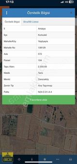 Antalya Korkuteli Yeşil Yaylada.16600.metrekare Ceviz Bahçesi