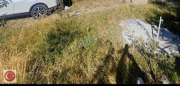 Çınarcık Hasanbaba Mevki Satılık Arsa