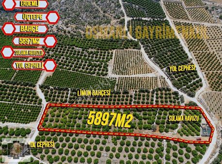 Erdemli Kocahasanlı 5897 M2 Deniz Manzaralı Manzaralı Satılık Villalk Arsa