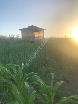 Tekirdağ Süleymanpaşa Bıyık Ali De Satılık 2020 M2