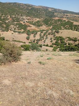 Emlak Dünyası Karacasu Şubesi Portföyde