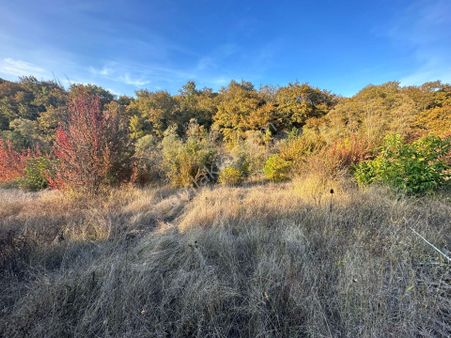 Bilecik-gölpazarında Satılık Yatırımlık Fırsat Tarla