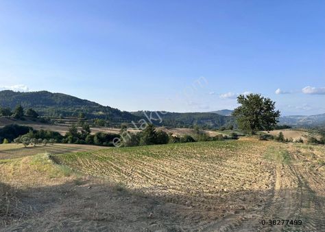 Muğla Menteşe Kuzluk Mahallesinde 3475 M2 Satılık Tarla