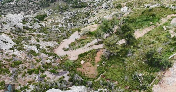 Muğla Menteşe Zeytinköy Mahallesinde 1409 M2 Satılık Arazi