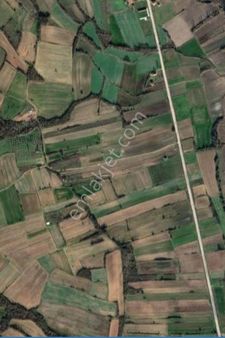 Kırklareli Pehlivanköy İlçesi Yeşilova Köyünde 1.850 M2 Satılık Müstakil Tarla