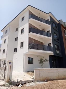 Davutlarda Merkezi Konumda Sıfır Daireler