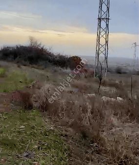 Edirne Lalapaşa Süleymandanişment 16 Dönüm Tektapu Asfalt Cephe