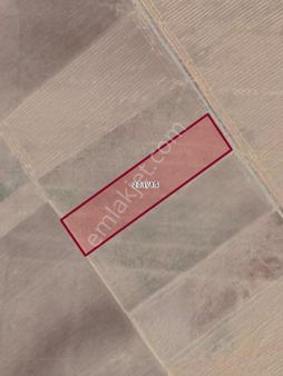 Çumra Kuzucu Mahallesi'nde Satılık Tarla