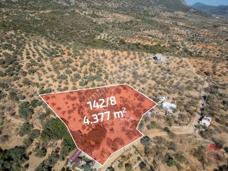 Datça Cumalı Köyünde 4.377m2 Satılık Arsa