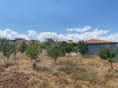 Güvenay - Çorum Bahçelievler Yukarısı Pancarlık Mevkii Satılık Bahçe