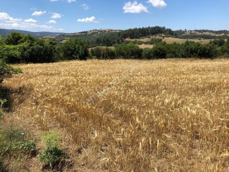 Çatalca Kabakça Mahallesinde Acilen Satılık Tarla 29172m2 Tek Tapu!