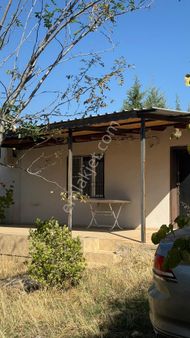 Manisa Şehzadeler Karaoglanlı Mh De İmar Sınırında Satılık 9,400 M2 Zeytinlik + Ev