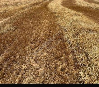 Saray Beyazköyde 280 Metre Çapı Mevcuttur Resmi Yola Cepheli