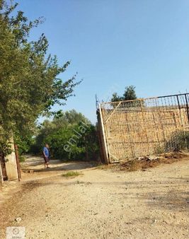 Kılınç Gayrimenkulden Satılık Bekirde De Limana Yakın İmara Yakın Mandalina Bahçesi