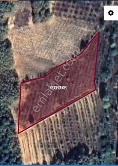 İznik Tacir Mahallesinde Acil Satılık 10.980m2 Tarrla