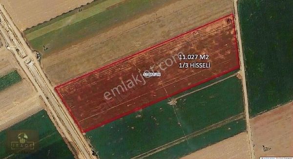 Boruktolu'da 11.000 M2 Sulak Yola Cepheli Hisseli Cazip Tarla