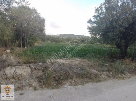 Wisrem Gayrumenkul'den Fırsat Tek Tapulu Tarla