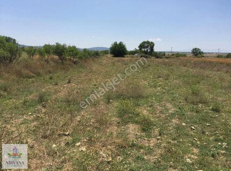 Baklan Merkezde Harıka Bır Tarla...