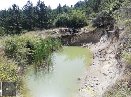 Denizli Serinhisarda Satılık Ceviz Bahçesi