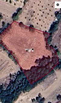 Satılık Tarla Uşak Eşme Keklikli Mevkisinde