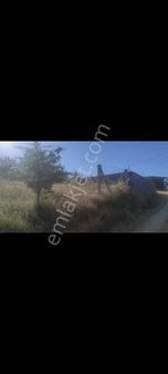 İzmir Torbalı Çakırbeylide Satılık Bahçe