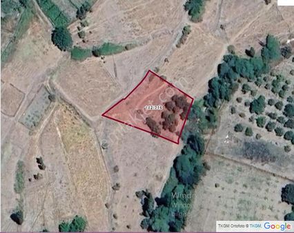 Konya Seydişehir İncesu Mah. Satılık Sulu Tarla Cevizlik 1012 M2 Köy Yakını