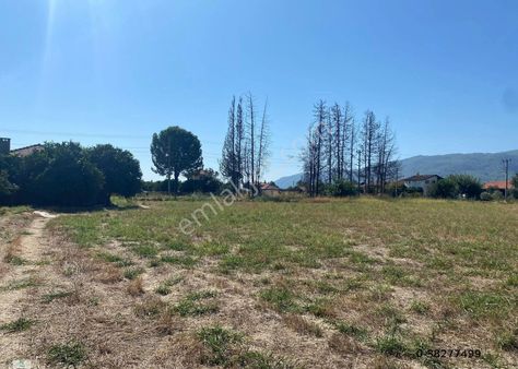 Eray Emlaktan Köyceğiz Döğüşbelende 15 Dönüm Satılık Tarla