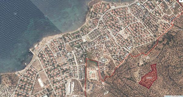 Ayvalık Sakarya Mahallesinde İmar Sınırında Satılık Zeytinlik