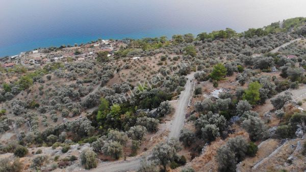 Muğla Menteşe Kıran'da 427 M2 Satılık Tarla