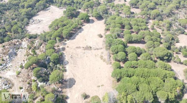 Vitrinden Bağyüzünde 14.377 M2 Emsallerinin Altında Arazi