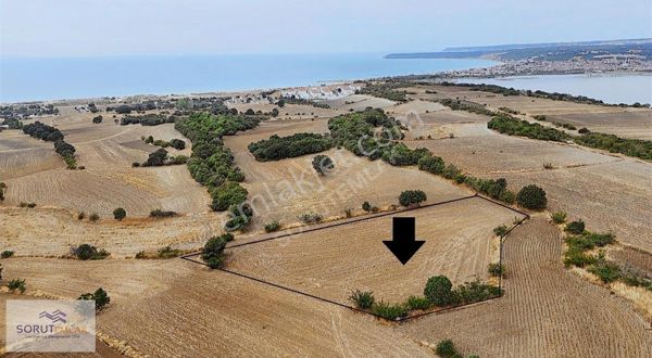 Mecidiye Sahil Satılık 1800 M2 Tarla