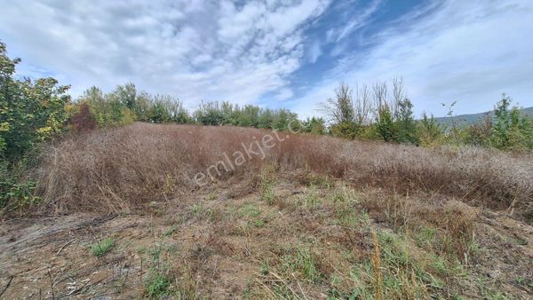 Kocaeli Karamürsel Akçat %5 İmarlı 1955 M2 Satılık Tarla