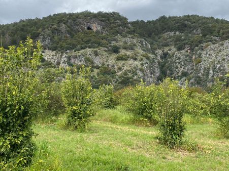 Turyap'tan Muğla Ortaca'da 11,961 M²tarla İçinde 70 M² Köyevi