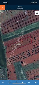 Oğuzeli Kurtuluşta Tek Tapu Fırsat Arazi