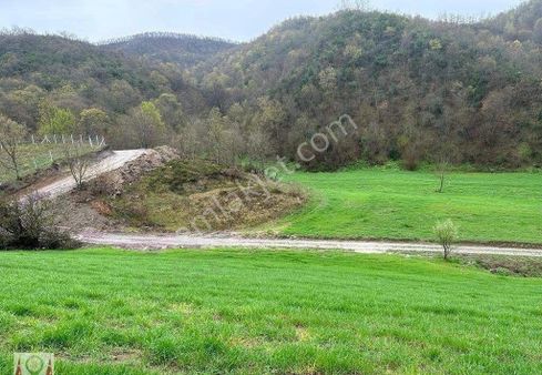 Kocaeli Karamürsel Avcıköy Mahallesi Satılık 3145 M2 Tarla