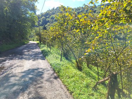 Kaşüstü Mah. Satılık ,yola Cepheli;düşük Eğimli Arazi 5.250m2!!