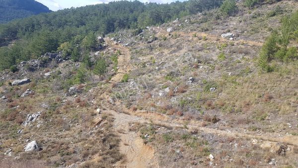 Güney Cephe 26,810 M2 Tek Tapu