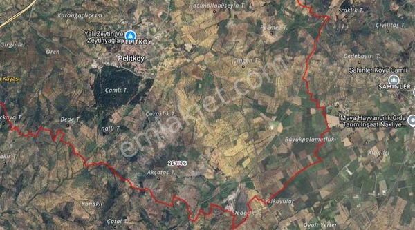 Burhaniye Pelitköy Merkeze Yakın Fırsat Zeytinlik