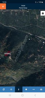 Bursa Orhangazi Dutluca Satılık Tarla