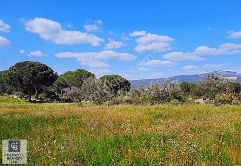 Cb Fark'tan Kozak'ta Tarım İmarlı Ve Çiftlik Yapımına Uygun Arsa