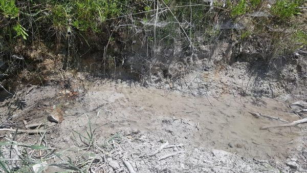 Güney Cephe 26,810 M2 Tek Tapu