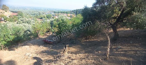 Ali Akdoğan Emlak Ofisinden Köy İçinde Satılık Avlulu Ev