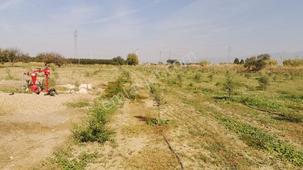 11. Mıntıka Mezbaha Yakınında Satılık