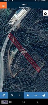 Armutlu Girişi Asfalta Cephe 1892 M2 Zeytinlik