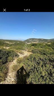 Didim'de Bafa Gölü Manzaralı Arsa