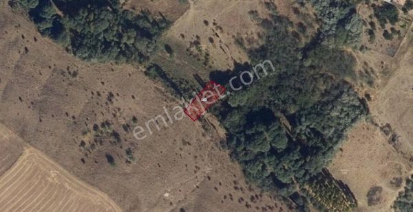 Nevşehir Hacıbektaş'ta Satılık Tarla