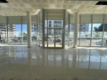 Girne Merkez'de Komple Kiralık Ticari İzinli Bina !!!